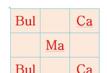 9.Sınıf Bulmacalar